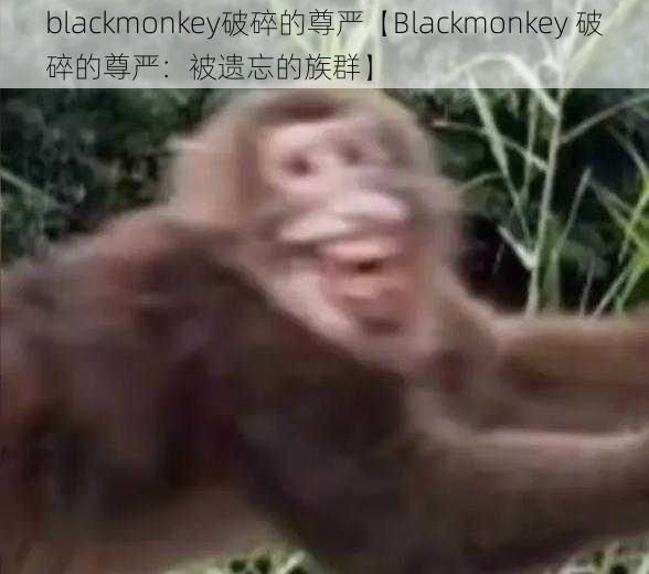 blackmonkey破碎的尊严【Blackmonkey 破碎的尊严:被遗忘的族群】