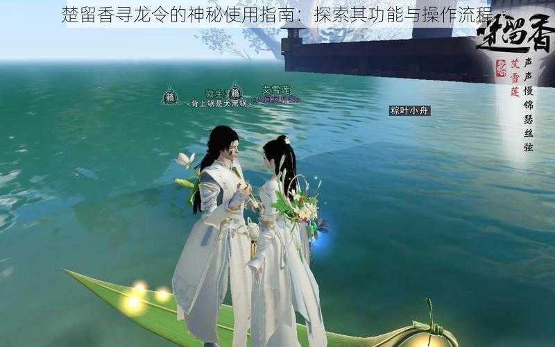 楚留香寻龙令的神秘使用指南:探索其功能与操作流程