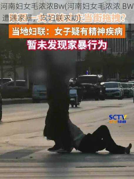 河南妇女毛浓浓Bw(河南妇女毛浓浓 BW 遭遇家暴,向妇联求助)