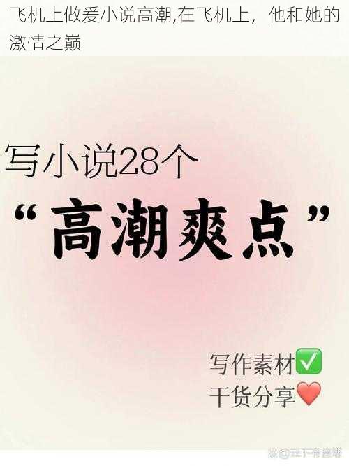 飞机上做爰小说高潮,在飞机上,他和她的激情之巅
