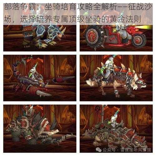 部落争霸:坐骑培育攻略全解析——征战沙场,选择培养专属顶级坐骑的黄金法则