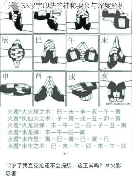 关于SS忍宗印法的神秘要义与深度解析