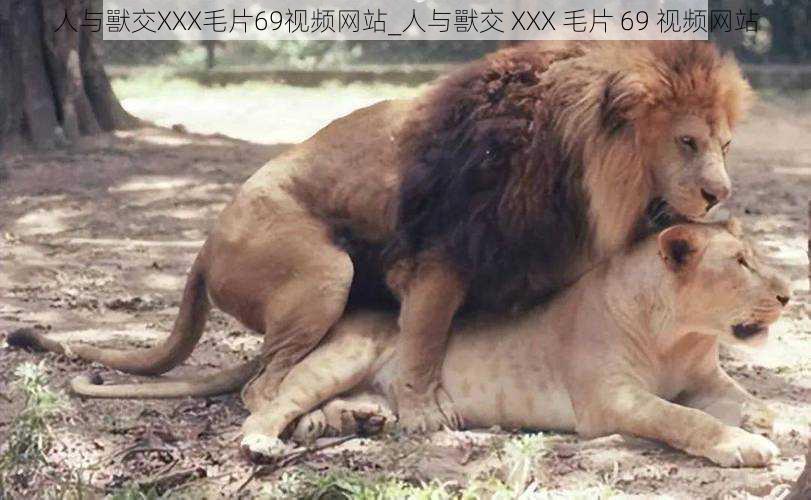 人与獸交XXX毛片69视频网站_人与獸交 XXX 毛片 69 视频网站