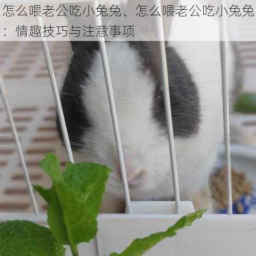 怎么喂老公吃小兔兔、怎么喂老公吃小兔兔:情趣技巧与注意事项