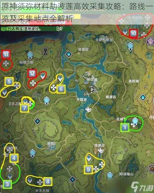 原神须弥材料劫波莲高效采集攻略:路线一览及采集地点全解析