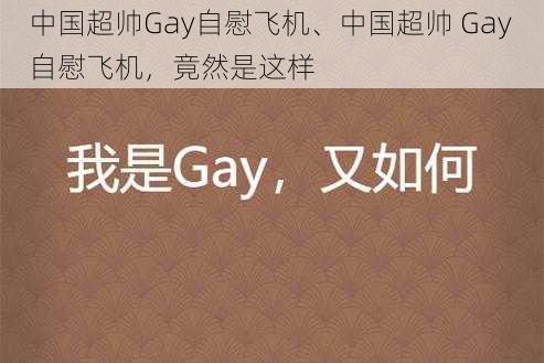 中国超帅Gay自慰飞机、中国超帅 Gay 自慰飞机,竟然是这样