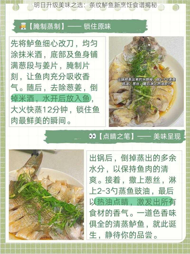 明日升级美味之选:条纹鲈鱼新烹饪食谱揭秘