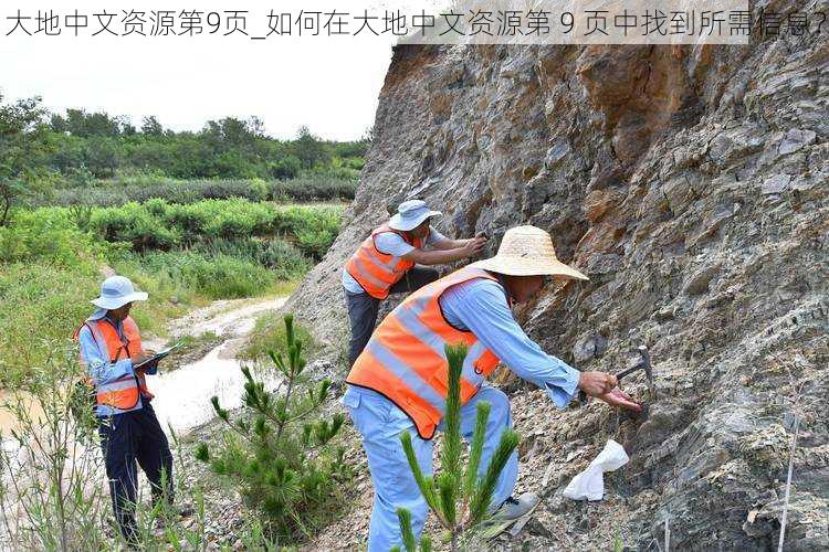 大地中文资源第9页_如何在大地中文资源第 9 页中找到所需信息?