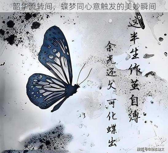 韶华流转间,蝶梦同心意触发的美妙瞬间