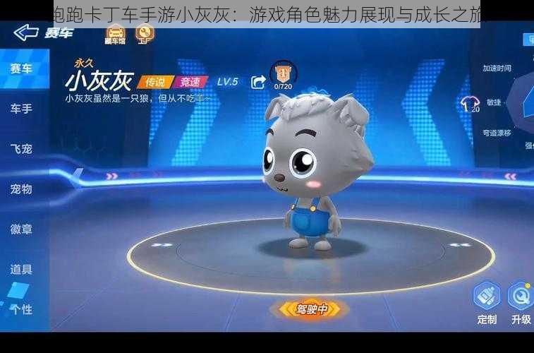 跑跑卡丁车手游小灰灰:游戏角色魅力展现与成长之旅