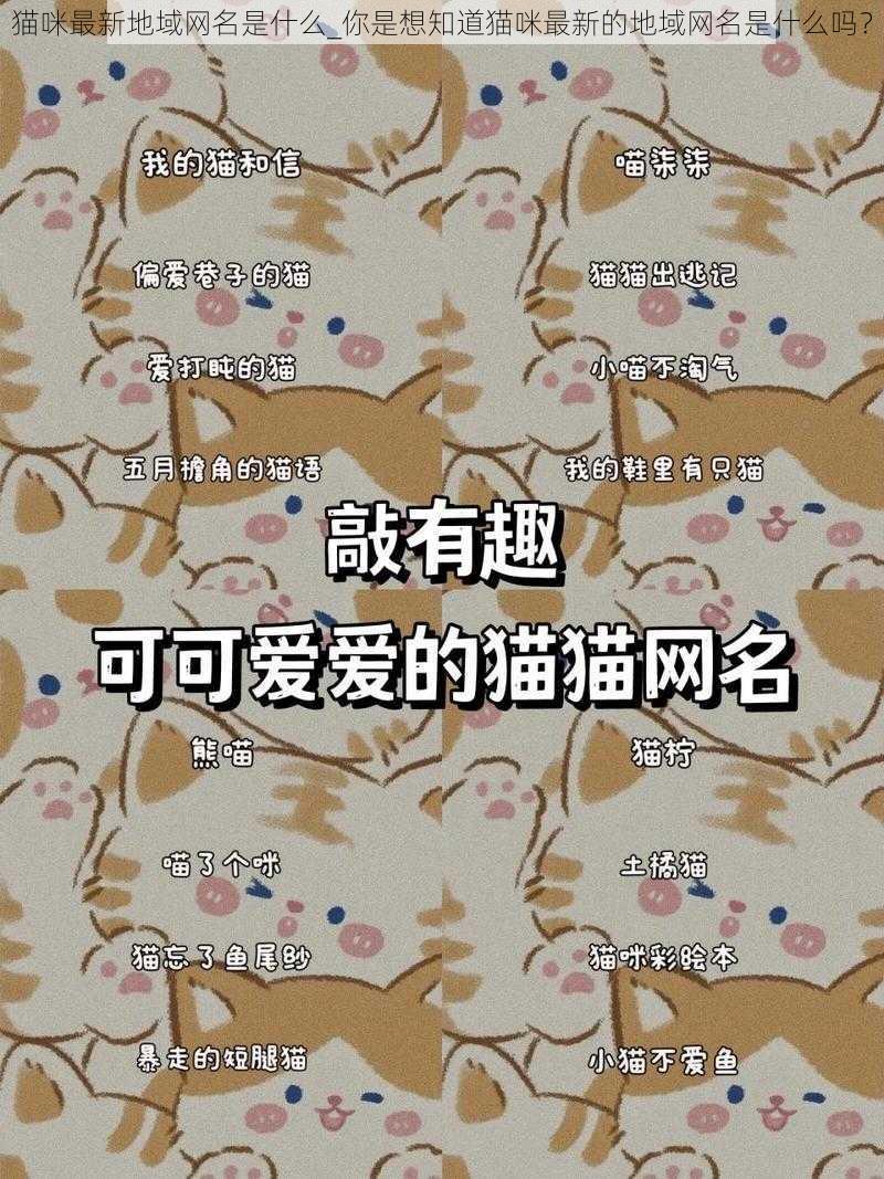 猫咪最新地域网名是什么_你是想知道猫咪最新的地域网名是什么吗?