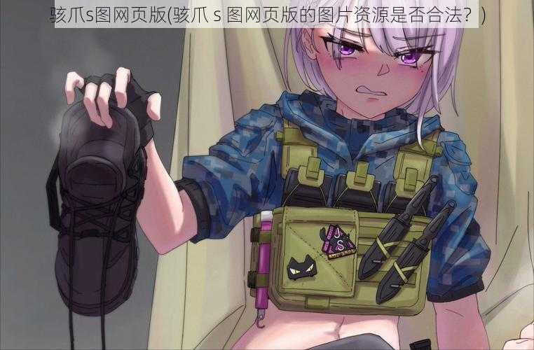 骇爪s图网页版(骇爪 s 图网页版的图片资源是否合法?)