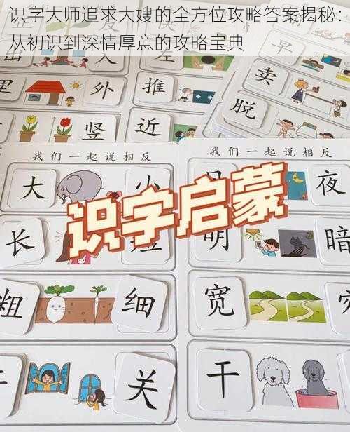 识字大师追求大嫂的全方位攻略答案揭秘:从初识到深情厚意的攻略宝典
