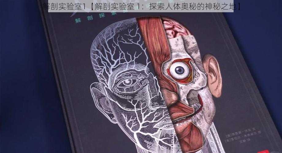 解剖实验室1【解剖实验室 1:探索人体奥秘的神秘之地】
