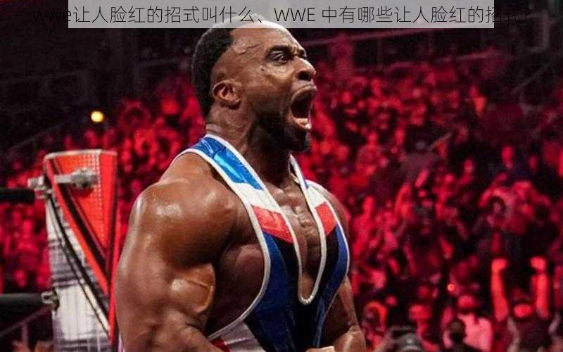 wwe让人脸红的招式叫什么、WWE 中有哪些让人脸红的招式?
