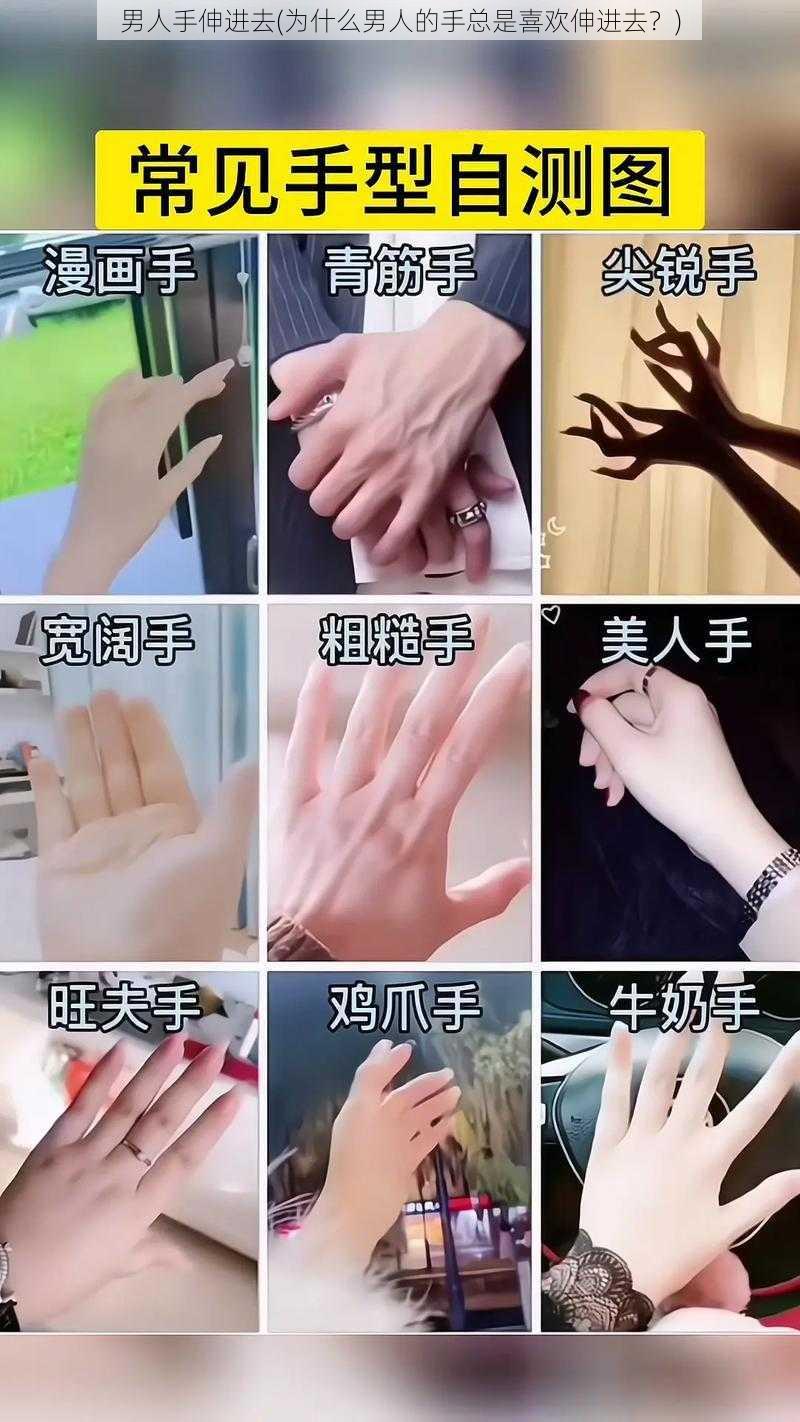 男人手伸进去(为什么男人的手总是喜欢伸进去?)