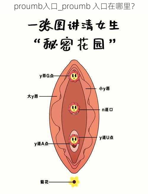 proumb入口_proumb 入口在哪里?