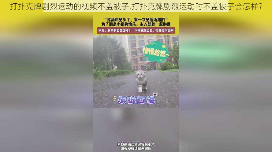 打扑克牌剧烈运动的视频不盖被子,打扑克牌剧烈运动时不盖被子会怎样?