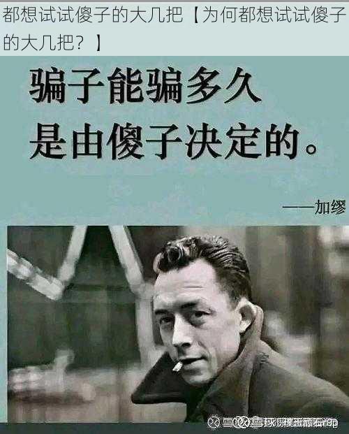 都想试试傻子的大几把【为何都想试试傻子的大几把?】