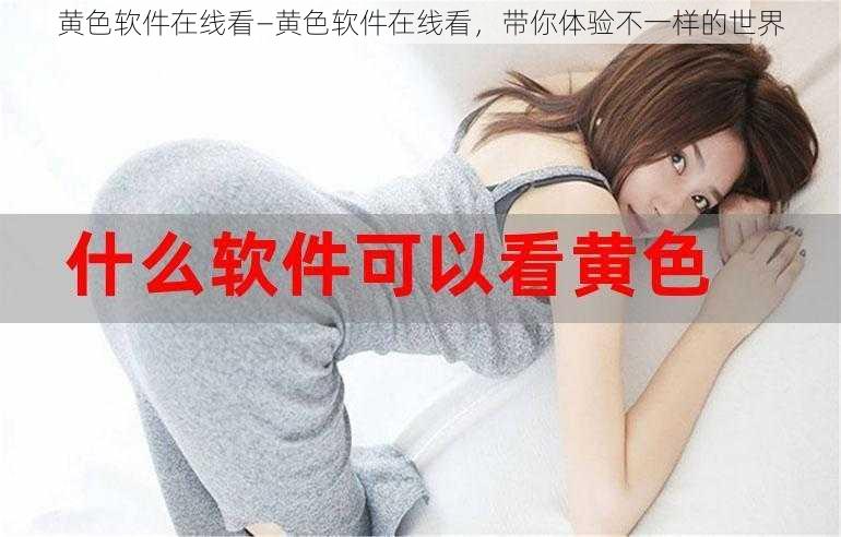 黄色软件在线看—黄色软件在线看,带你体验不一样的世界