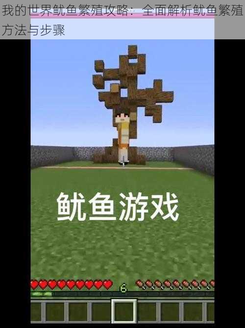 我的世界鱿鱼繁殖攻略:全面解析鱿鱼繁殖方法与步骤