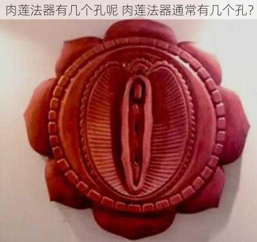 肉莲法器有几个孔呢 肉莲法器通常有几个孔?