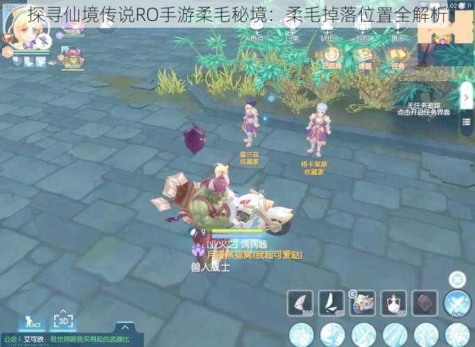 探寻仙境传说RO手游柔毛秘境:柔毛掉落位置全解析