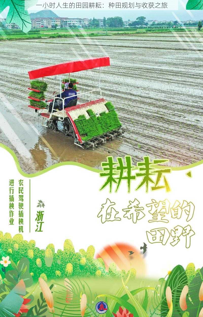 一小时人生的田园耕耘:种田规划与收获之旅