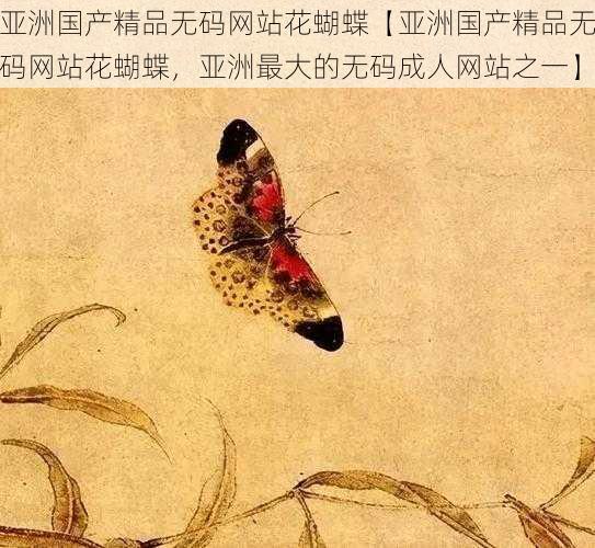 亚洲国产精品无码网站花蝴蝶【亚洲国产精品无码网站花蝴蝶,亚洲最大的无码成人网站之一】
