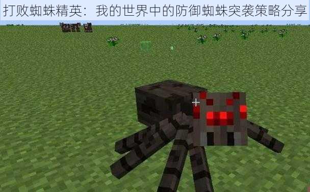 打败蜘蛛精英:我的世界中的防御蜘蛛突袭策略分享