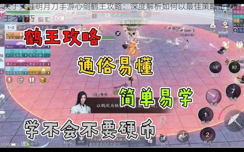 关于天涯明月刀手游心剑鹤王攻略:深度解析如何以最佳策略击败鹤王之技巧