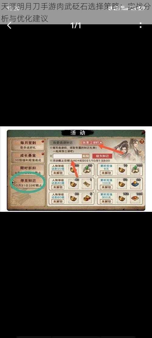 天涯明月刀手游肉武砭石选择策略:实战分析与优化建议