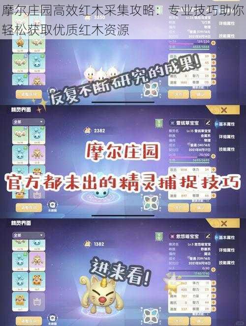 摩尔庄园高效红木采集攻略:专业技巧助你轻松获取优质红木资源