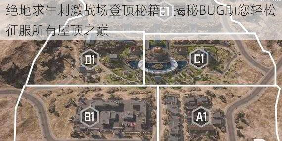 绝地求生刺激战场登顶秘籍:揭秘BUG助您轻松征服所有屋顶之巅