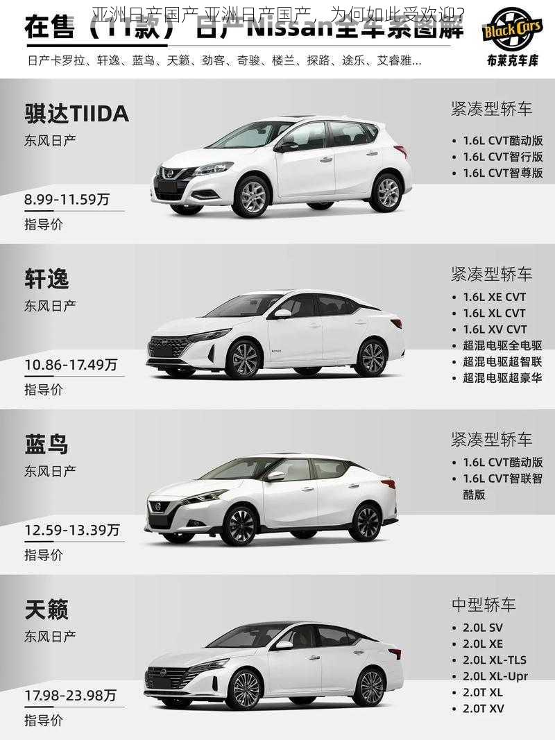 亚洲日产国产 亚洲日产国产,为何如此受欢迎?