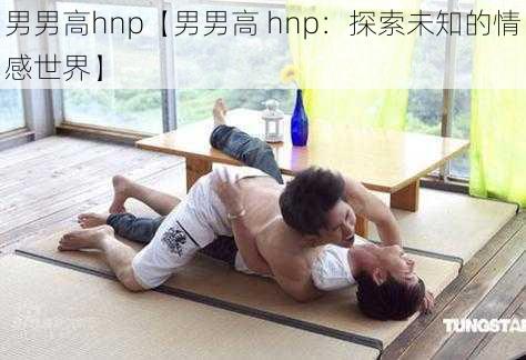 男男高hnp【男男高 hnp:探索未知的情感世界】