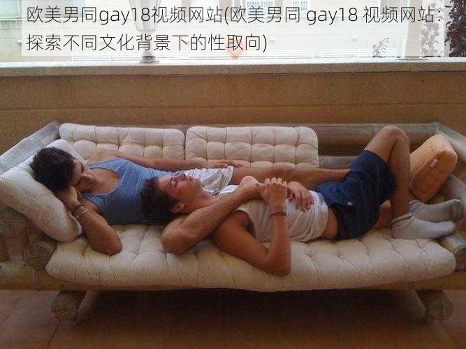 欧美男同gay18视频网站(欧美男同 gay18 视频网站:探索不同文化背景下的性取向)