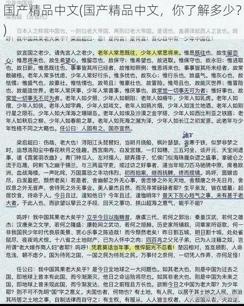 国产精品中文(国产精品中文,你了解多少?)