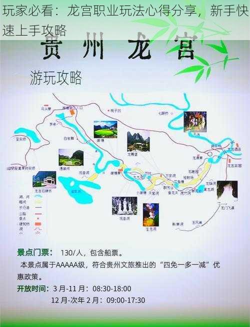 玩家必看:龙宫职业玩法心得分享,新手快速上手攻略