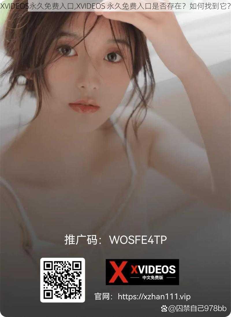 XVIDEOS永久免费入口,XVIDEOS 永久免费入口是否存在?如何找到它?