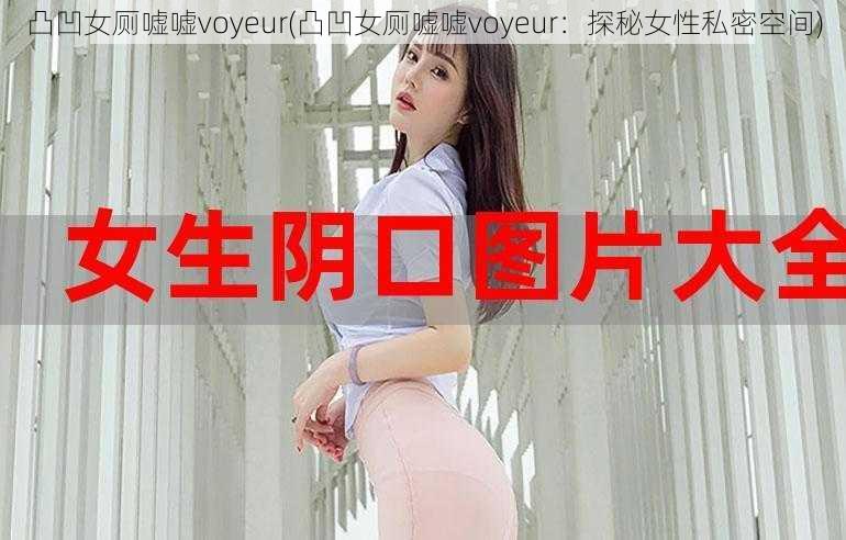 凸凹女厕嘘嘘voyeur(凸凹女厕嘘嘘voyeur:探秘女性私密空间)