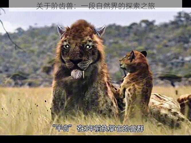 关于阶齿兽:一段自然界的探索之旅