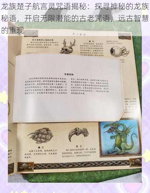 龙族楚子航言灵咒语揭秘:探寻神秘的龙族秘语,开启无限潜能的古老咒语,远古智慧的重现