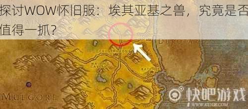 探讨WOW怀旧服:埃其亚基之兽,究竟是否值得一抓?