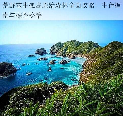 荒野求生孤岛原始森林全面攻略:生存指南与探险秘籍