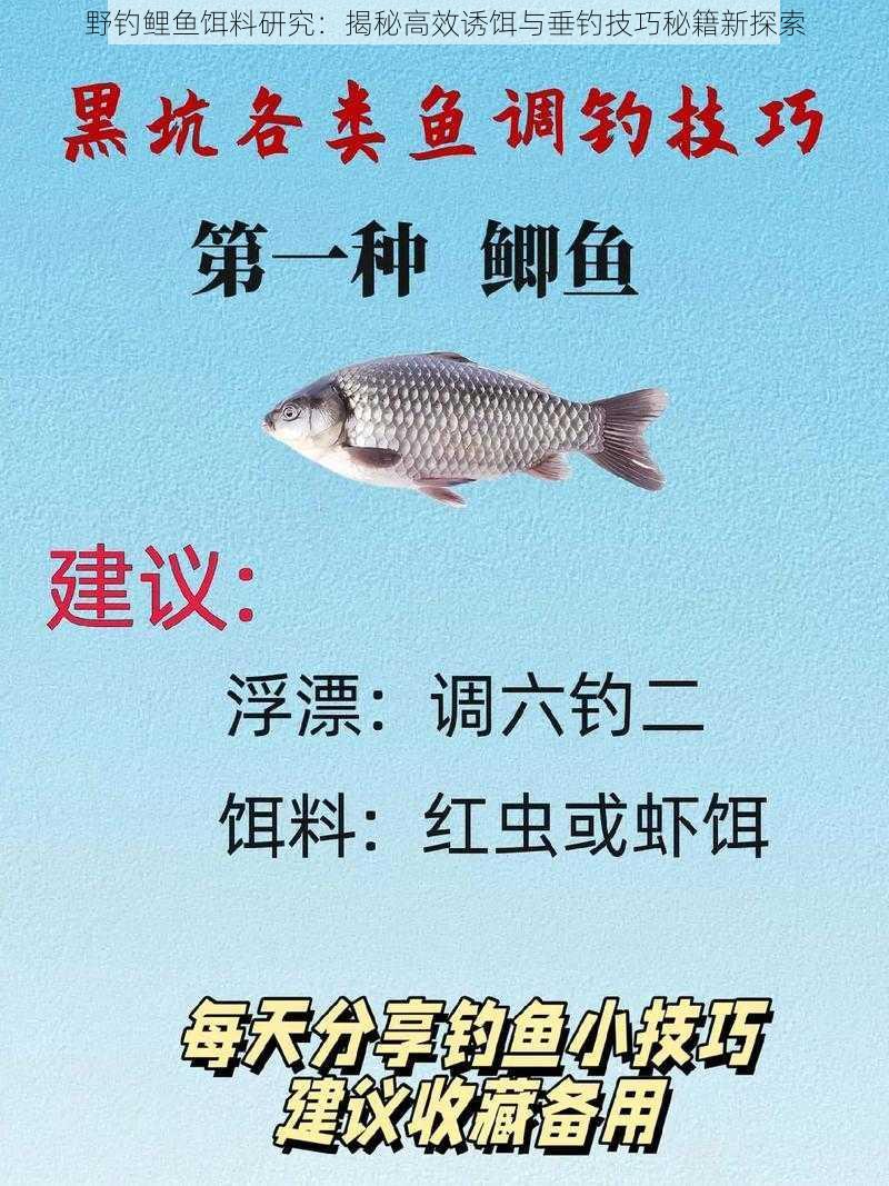 野钓鲤鱼饵料研究:揭秘高效诱饵与垂钓技巧秘籍新探索