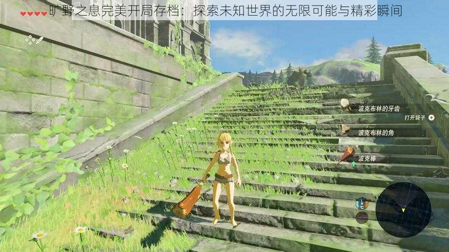 旷野之息完美开局存档:探索未知世界的无限可能与精彩瞬间