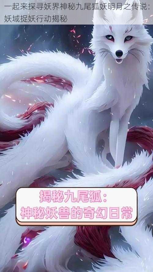 一起来探寻妖界神秘九尾狐妖明月之传说:妖域捉妖行动揭秘