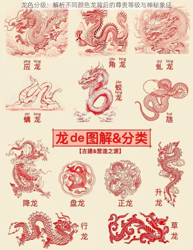 龙色分级:解析不同颜色龙背后的尊贵等级与神秘象征