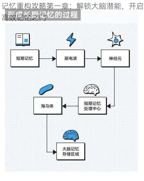 记忆重构攻略第一章:解锁大脑潜能,开启高效记忆之门